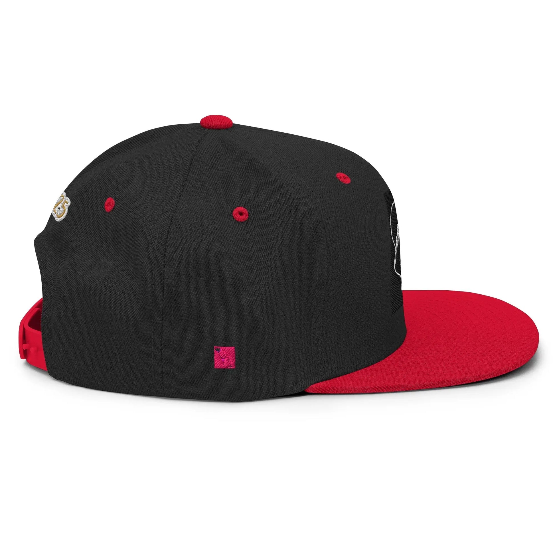 Dabs for Ghosts Snapback Hat - Hoodloom CityWear