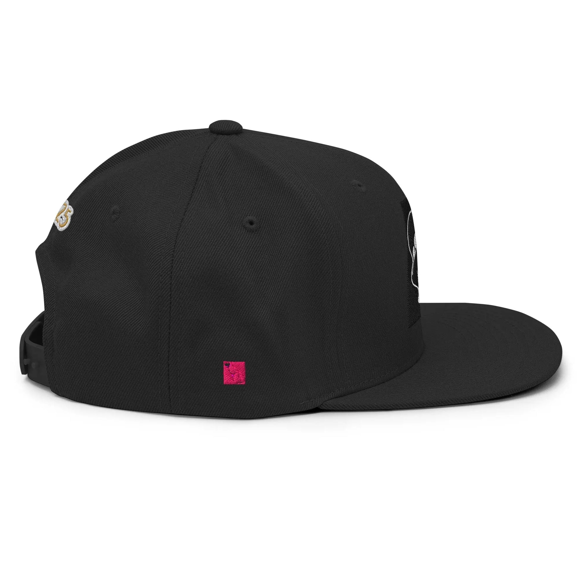 Dabs for Ghosts Snapback Hat - Hoodloom CityWear