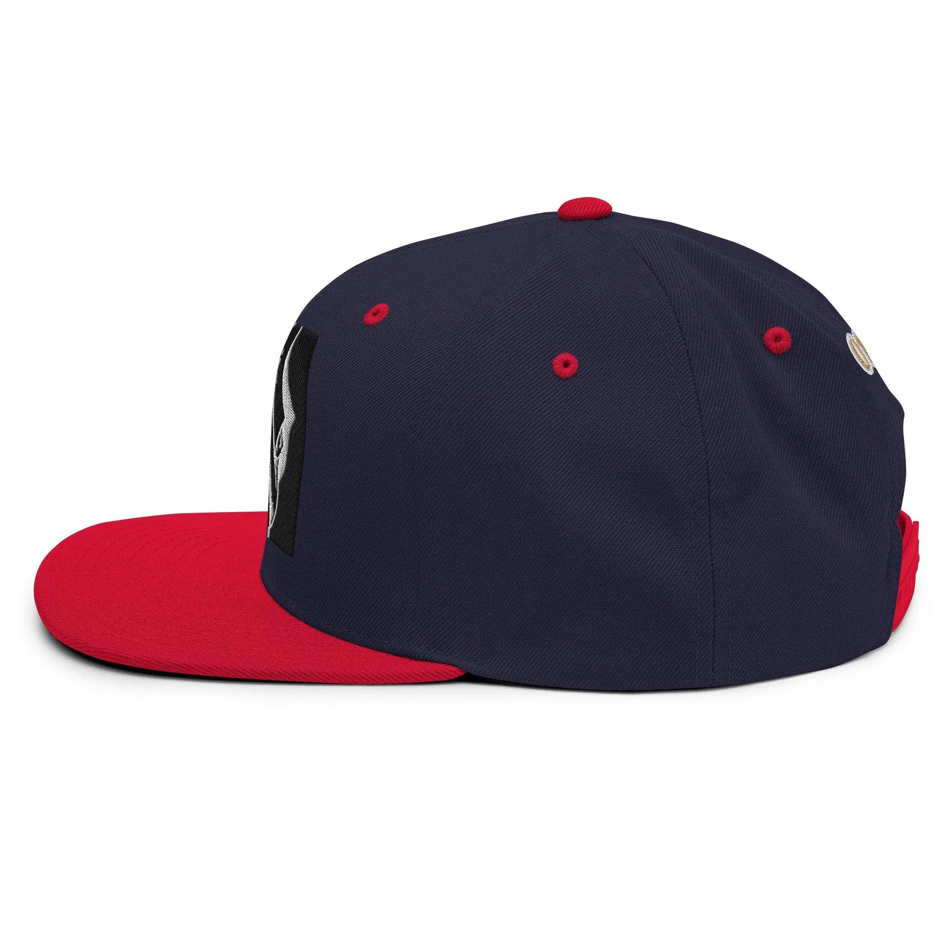 Dabs for Ghosts Snapback Hat - Hoodloom CityWear