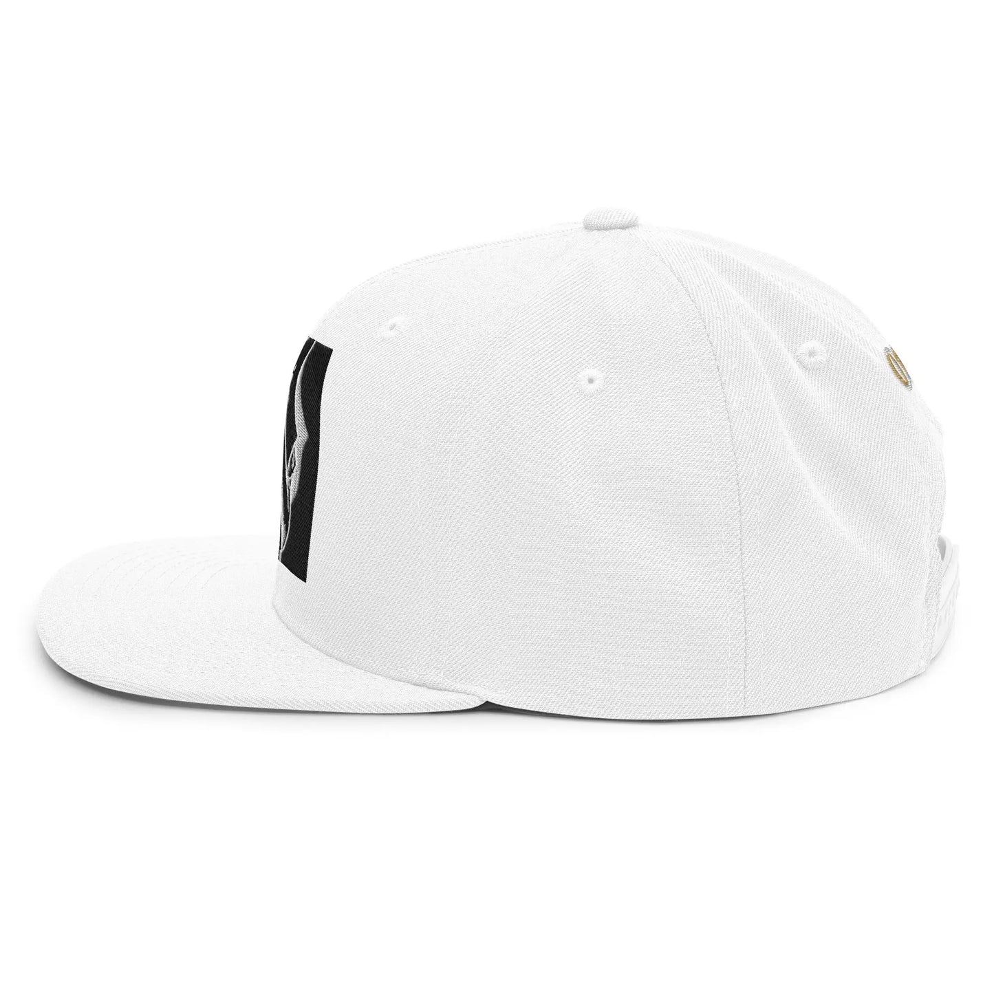 Dabs for Ghosts Snapback Hat - Hoodloom CityWear
