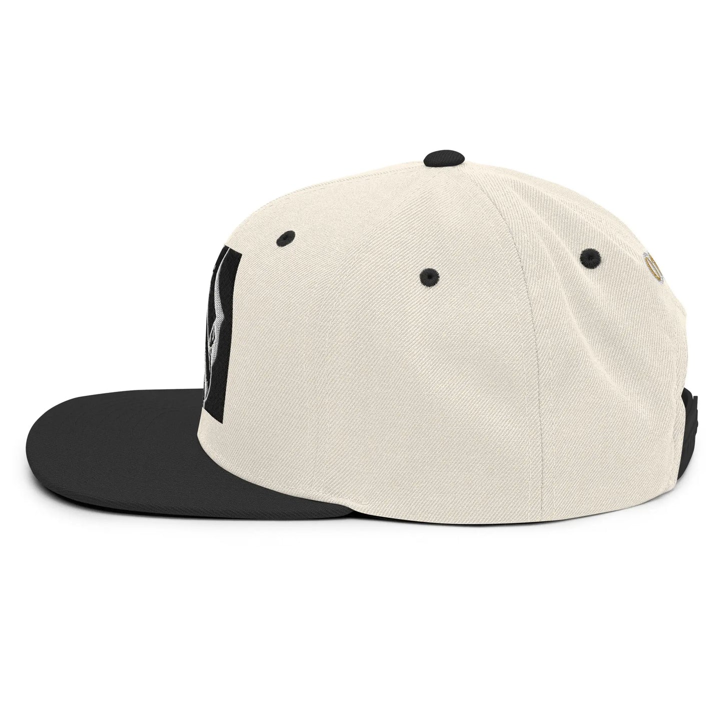 Dabs for Ghosts Snapback Hat - Hoodloom CityWear