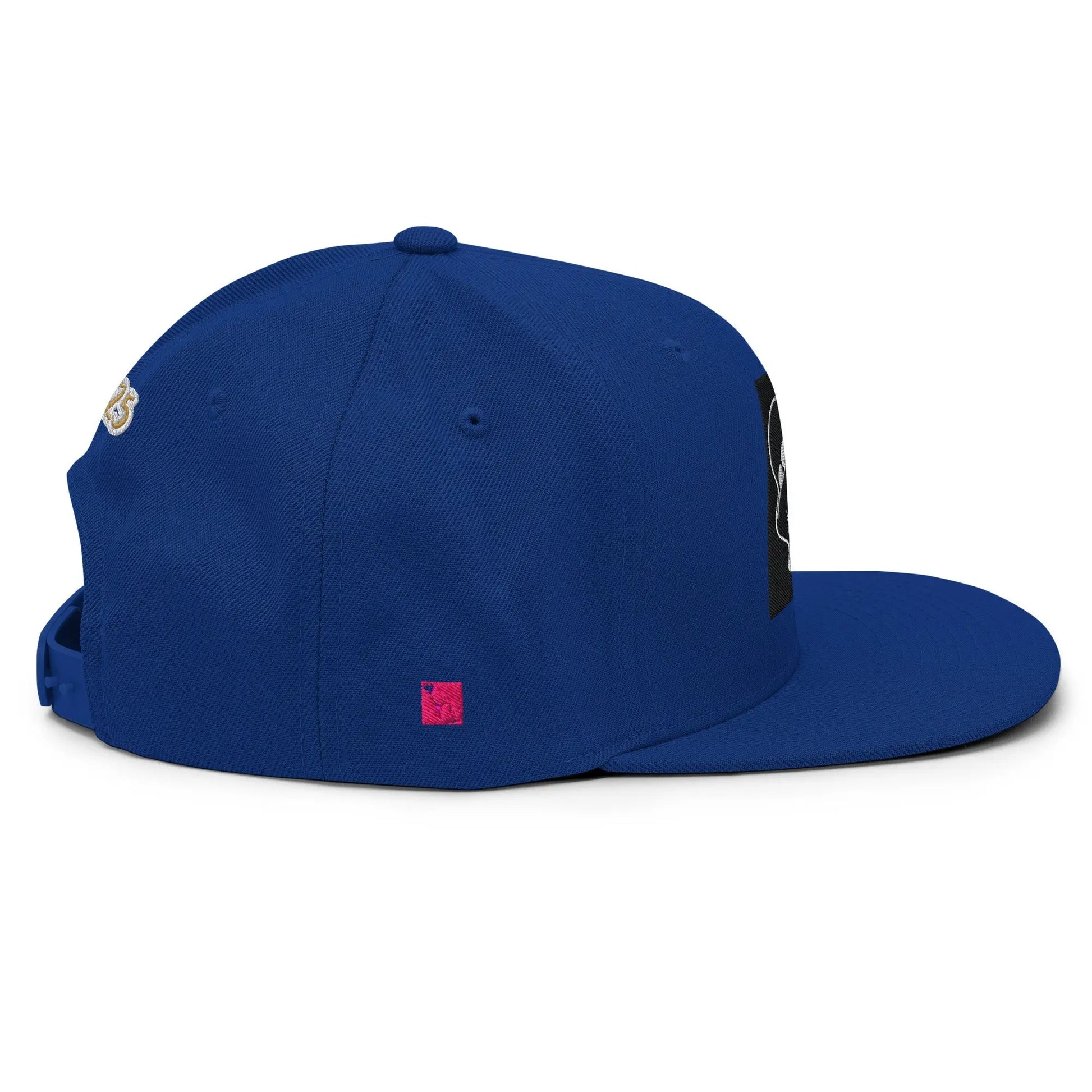 Dabs for Ghosts Snapback Hat - Hoodloom CityWear